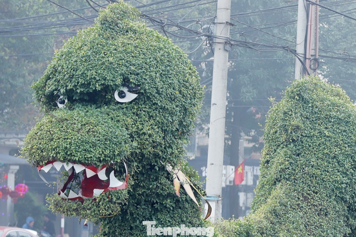 Trước đó, hình ảnh hai con rồng bằng cây xanh đặt tại cửa ngõ vào trung tâm TP Vinh đăng tải trên mạng xã hội đã nhận được nhiều ý kiến trái chiều. Người khen rồng được tạo dáng cầu kỳ từ các cây xanh. Có người lại cho rằng, hàng cây không giống rồng. Thậm chí, một số người còn ví hai cây cảnh hình rồng này trông giống con lươn... Trong ảnh là hình ảnh con rồng trước và sau khi được chỉnh sửa.