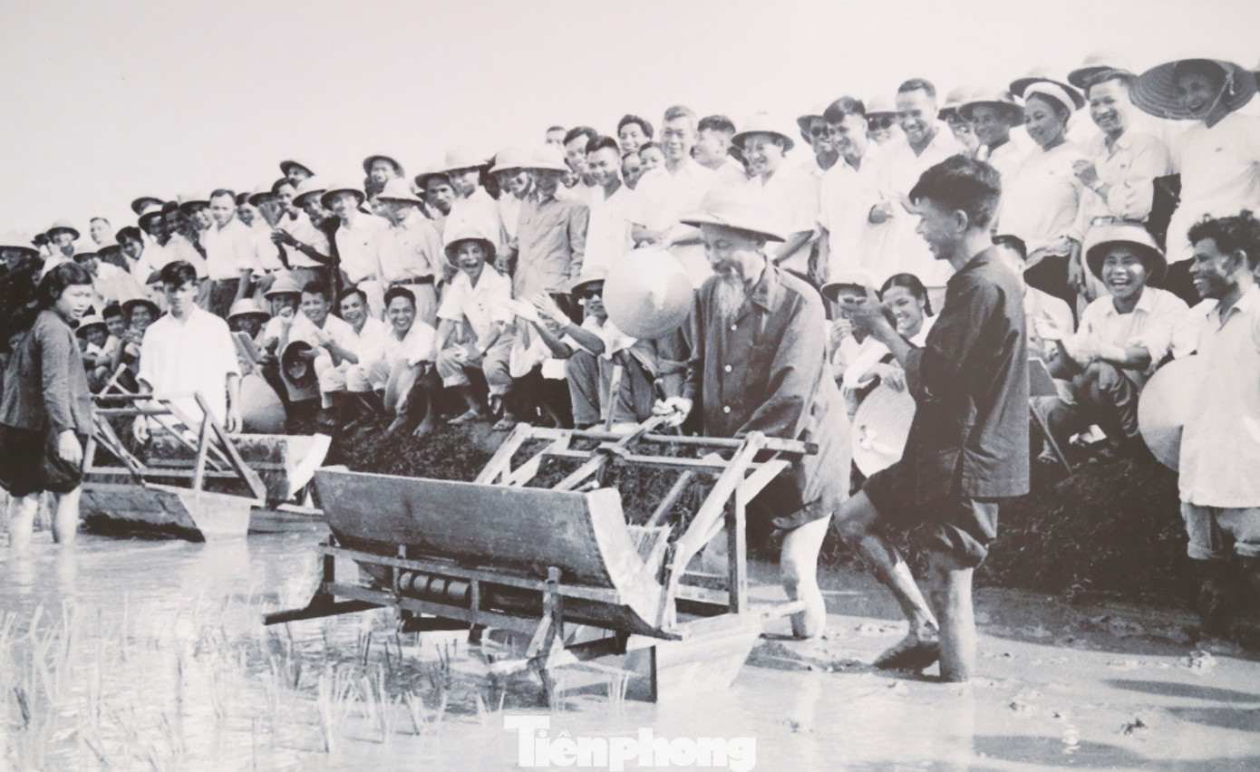 Kỷ niệm 135 năm ngày sinh Chủ tịch Hồ Chí Minh, Bộ Văn hóa, Thể thao và Du lịch phối hợp với tỉnh Nghệ An đã tổ chức triển lãm Hồ Chí Minh đẹp nhất tên Người. Đây là hoạt động có ý nghĩa chính trị, văn hóa, xã hội sâu sắc trong khuôn khổ Lễ hội Làng Sen năm 2025, nhằm tôn vinh và tri ân sâu sắc công lao, cống hiến vĩ đại của Chủ tịch Hồ Chí Minh đối với cách mạng Việt Nam, Lòng biết ơn, sự thành kính của nhân dân cả nước, bạn bè quốc tế đối với Chủ tịch Hồ Chí Minh - Anh hùng giải phóng dân tộc và nhà văn hóa kiệt xuất của Việt Nam. Với hơn 400 hình ảnh, tư liệu, hiện vật quý giá được lựa chọn đã tái hiện một cách sinh động hành trình cách mạng đầy gian nan, hy sinh nhưng cũng rực rỡ hào quang của Bác Hồ, nhà lãnh đạo kiệt xuất của cách mạng Việt Nam, biểu tượng cao đẹp của lòng yêu nước, đức hy sinh, và tình thương bao la với nhân dân.