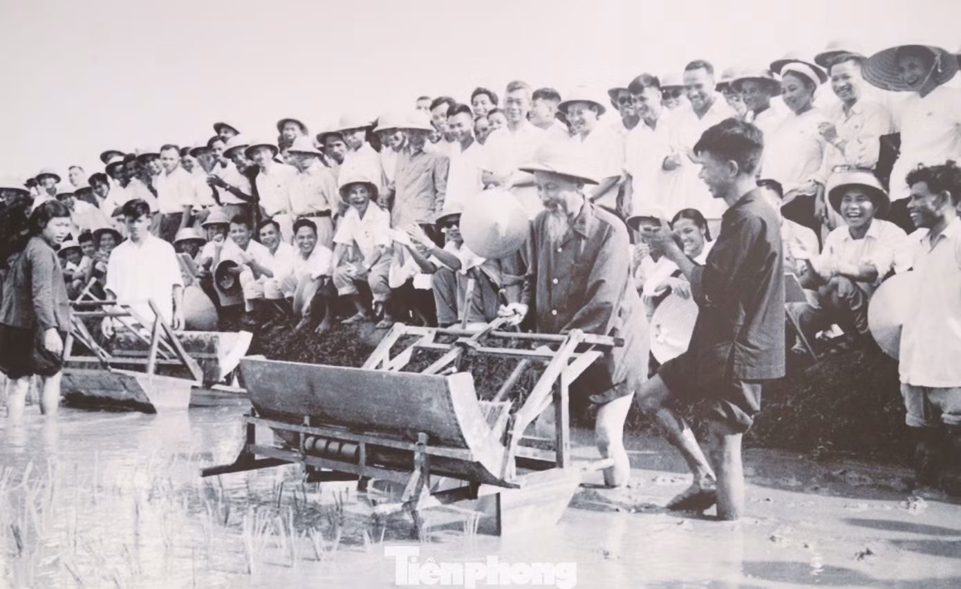 Kỷ niệm 135 năm ngày sinh Chủ tịch Hồ Chí Minh, Bộ Văn hóa, Thể thao và Du lịch phối hợp với tỉnh Nghệ An đã tổ chức triển lãm Hồ Chí Minh đẹp nhất tên Người. Đây là hoạt động có ý nghĩa chính trị, văn hóa, xã hội sâu sắc trong khuôn khổ Lễ hội Làng Sen năm 2025, nhằm tôn vinh và tri ân sâu sắc công lao, cống hiến vĩ đại của Chủ tịch Hồ Chí Minh đối với cách mạng Việt Nam, Lòng biết ơn, sự thành kính của nhân dân cả nước, bạn bè quốc tế đối với Chủ tịch Hồ Chí Minh - Anh hùng giải phóng dân tộc và nhà văn hóa kiệt xuất của Việt Nam. Với hơn 400 hình ảnh, tư liệu, hiện vật quý giá được lựa chọn đã tái hiện một cách sinh động hành trình cách mạng đầy gian nan, hy sinh nhưng cũng rực rỡ hào quang của Bác Hồ, nhà lãnh đạo kiệt xuất của cách mạng Việt Nam, biểu tượng cao đẹp của lòng yêu nước, đức hy sinh, và tình thương bao la với nhân dân.