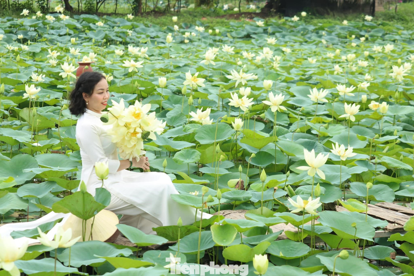 Đây là lần thứ 3, chị Nguyễn Phương Anh (trú TP Hà Nội) về thăm quê Bác. Cảm xúc vẫn vẹn nguyên xúc động, bồi hồi. “Về quê Bác, thích nhất là được đi trên con đường hai bên là những đầm sen xanh mướt, được hòa mình trong cảnh sắc thiên nhiên thơm ngát hương sen. Về đây, tôi cảm nhận rõ hơn sự vĩ đại của Chủ tịch Hồ Chí Minh”, chị Phương Anh bày tỏ.