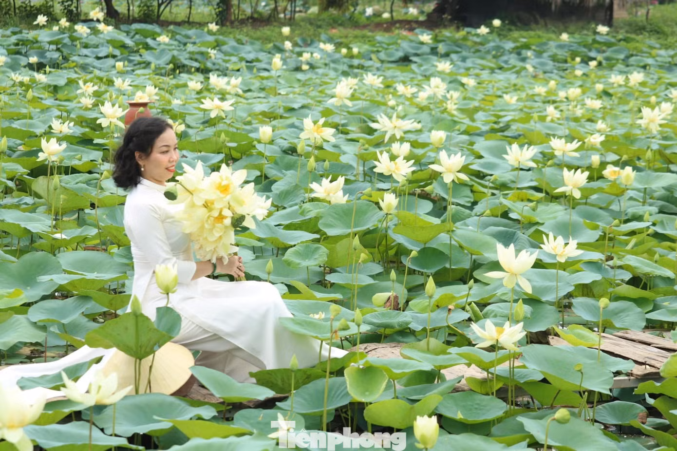 Đây là lần thứ 3, chị Nguyễn Phương Anh (trú TP Hà Nội) về thăm quê Bác. Cảm xúc vẫn vẹn nguyên xúc động, bồi hồi. “Về quê Bác, thích nhất là được đi trên con đường hai bên là những đầm sen xanh mướt, được hòa mình trong cảnh sắc thiên nhiên thơm ngát hương sen. Về đây, tôi cảm nhận rõ hơn sự vĩ đại của Chủ tịch Hồ Chí Minh”, chị Phương Anh bày tỏ.