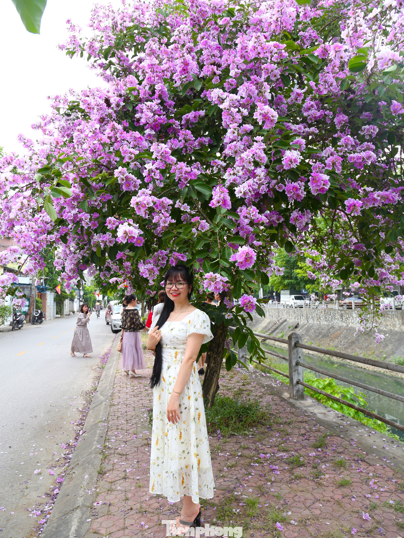 Thả dáng bên hoa bằng lăng...