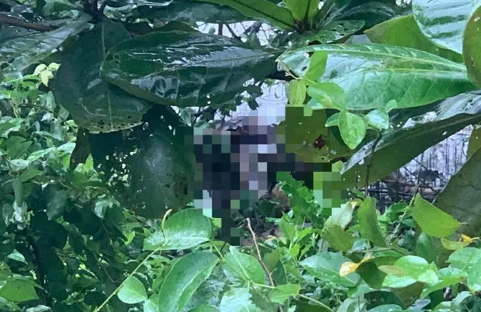 Phát hiện thi thể nữ sinh nổi trôi trên sông Lam