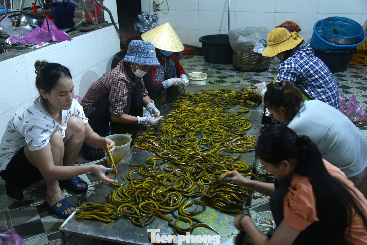 Long Thành là xã thuần nông, vùng thấp trũng nhất của huyện Yên Thành, Nghệ An. Những năm gần đây, nhận thấy nhu cầu tiêu thụ lươn đồng đã qua sơ chế ngày càng cao, bà con giáo xứ Rú Đất, xã Long Thành đã mạnh dạn chuyển hướng sản xuất, kinh doanh chế biến lươn đồng, đem lại nguồn thu nhập cao và tạo việc làm cho nhiều lao động địa phương. Long Thành là xã thuần nông, vùng thấp trũng nhất của huyện Yên Thành, Nghệ An. Những năm gần đây, nhận thấy nhu cầu tiêu thụ lươn đồng đã qua sơ chế ngày càng cao, bà con giáo xứ Rú Đất, xã Long Thành đã mạnh dạn chuyển hướng sản xuất, kinh doanh chế biến lươn đồng, đem lại nguồn thu nhập cao và tạo việc làm cho nhiều lao động địa phương.