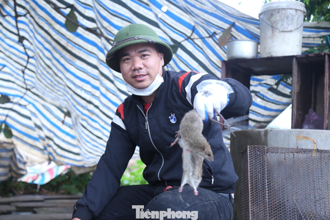 Anh Trần Văn Thành, chủ cơ sở thu mua chuột ở xã Đức Thành, huyện Yên Thành