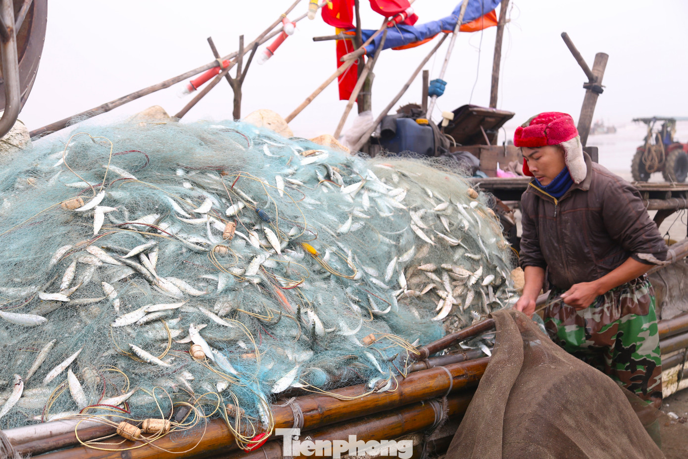 Theo ngư dân địa phương, mùa cá trích bắt đầu từ tháng 3, kéo dài đến tháng 5. Thông thường, bà con xuất phát lúc nửa đêm để đánh bắt và về bờ 7 - 8 giờ sáng hàng ngày, kịp bán cá tươi cho các thương lái. Theo ngư dân địa phương, mùa cá trích bắt đầu từ tháng 3, kéo dài đến tháng 5. Thông thường, bà con xuất phát lúc nửa đêm để đánh bắt và về bờ 7 - 8 giờ sáng hàng ngày, kịp bán cá tươi cho các thương lái.