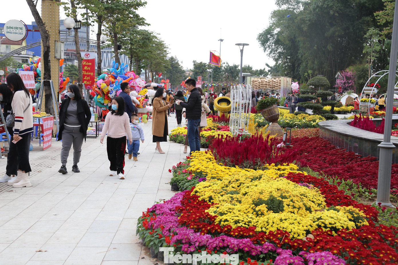 Có gần 100 loại hoa, cây cảnh được lựa chọn để trang trí, tạo nên khung cảnh rực rỡ, lung linh sắc màu.