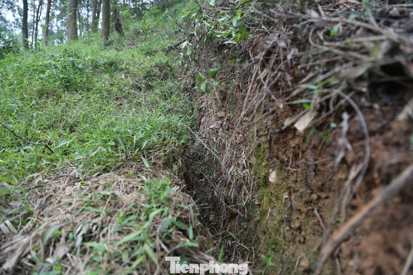 Dưới chân núi Thành có khoảng 12 hộ với 55 nhân khẩu đang bị ảnh hưởng. Dưới chân núi Thành có khoảng 12 hộ với 55 nhân khẩu đang bị ảnh hưởng.