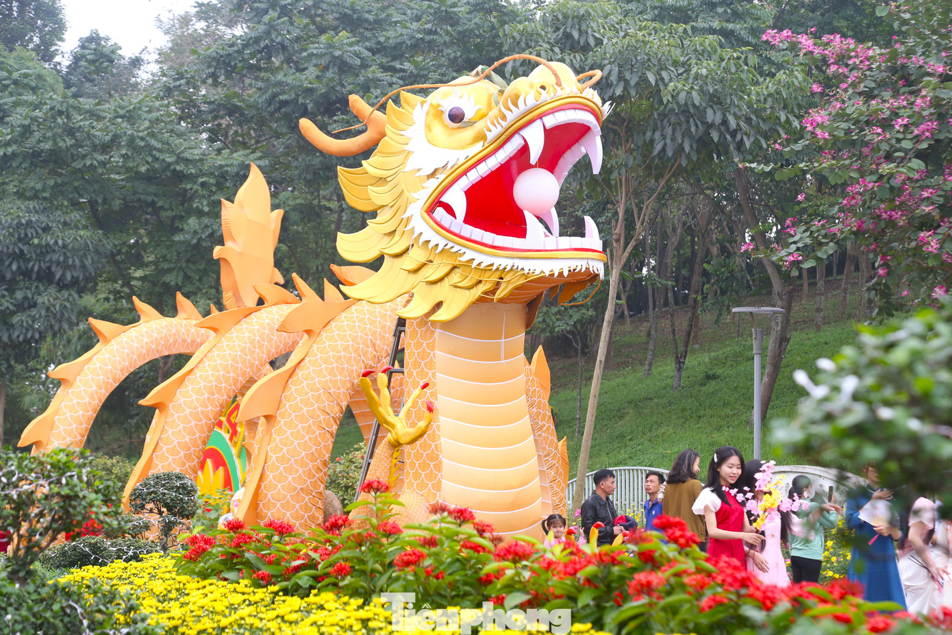 Sáng 5/2, trên vườn hoa nghệ thuật phố đi bộ Hồ Tùng Mậu (TP Vinh, Nghệ An), công nhân Công ty CP Công viên cây xanh TP Vinh đang hoàn thiện những khâu lắp đặt, trang trí cuối cùng linh vật rồng.