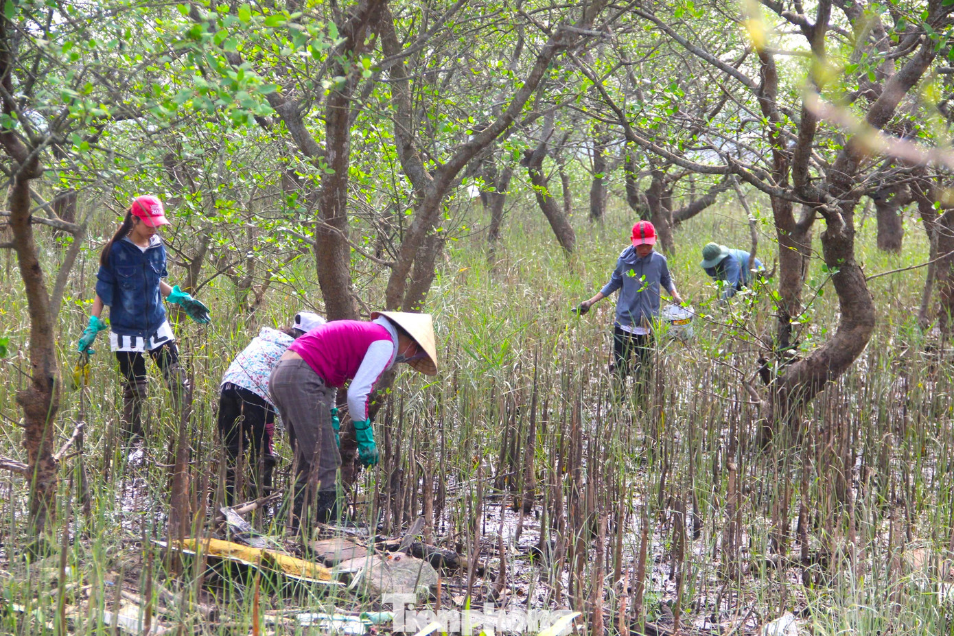 Lội bùn săn cáy ở khu rừng bần Hưng Hòa Lội bùn săn cáy ở khu rừng bần Hưng Hòa