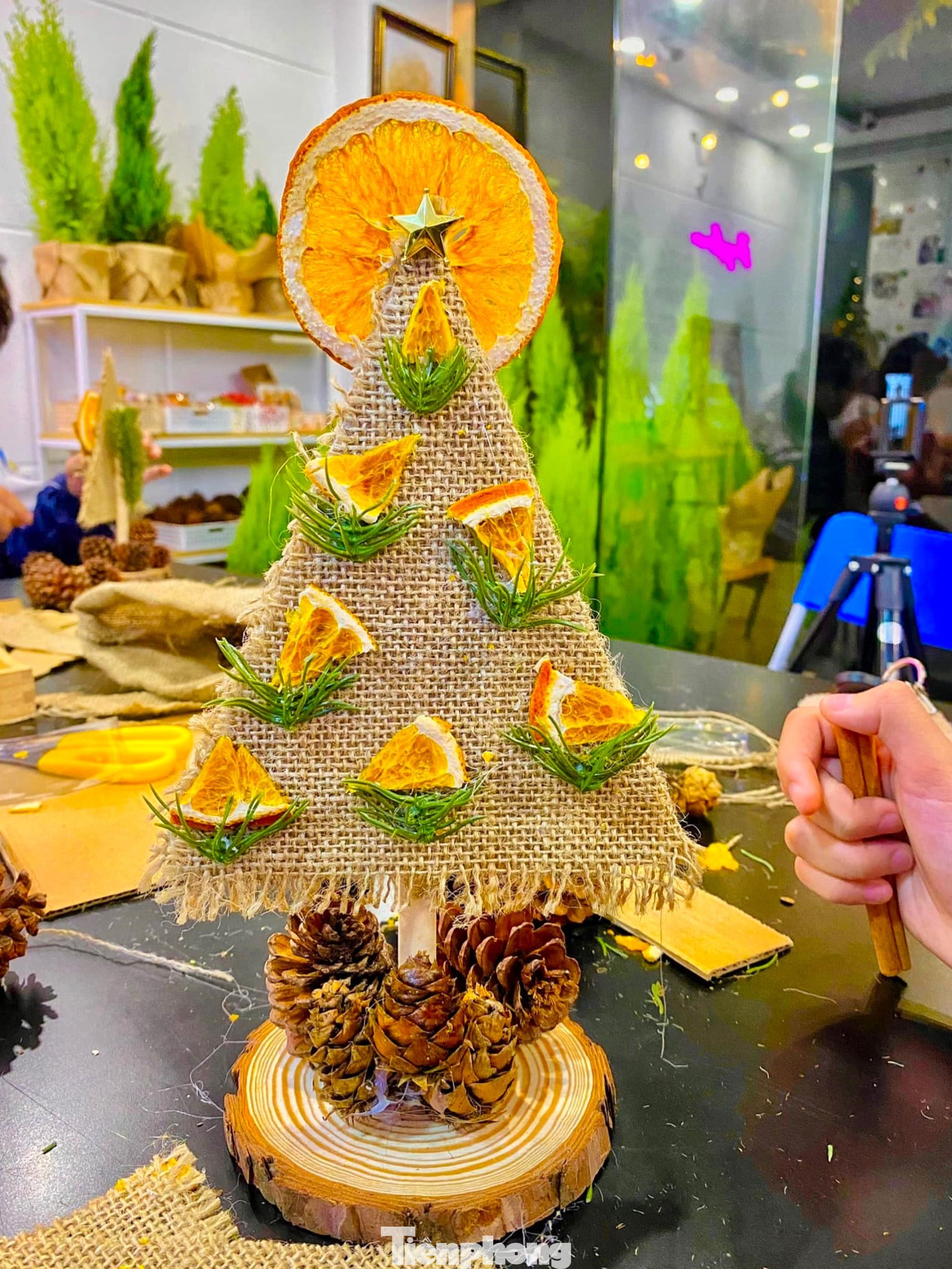 Sáng tạo với cây thông Noel đủ kiểu loại.