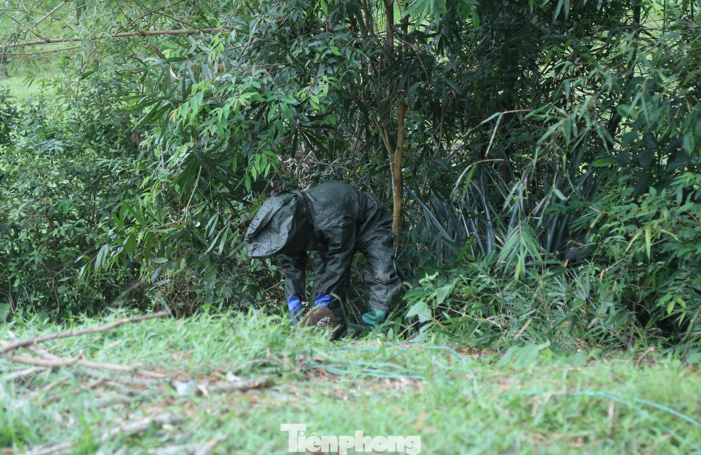 Theo người nuôi ong, loài ong vò vẽ này rất hung dữ và sẵn sàng tấn công nếu thấy người lại gần. Vì vậy trong quá trình bắt ong từ rừng về nhà nuôi phải giữ khoảng cách cần thiết để đảm bảo an toàn cho mọi người đặc biệt là trẻ con. Theo người nuôi ong, loài ong vò vẽ này rất hung dữ và sẵn sàng tấn công nếu thấy người lại gần. Vì vậy trong quá trình bắt ong từ rừng về nhà nuôi phải giữ khoảng cách cần thiết để đảm bảo an toàn cho mọi người đặc biệt là trẻ con.