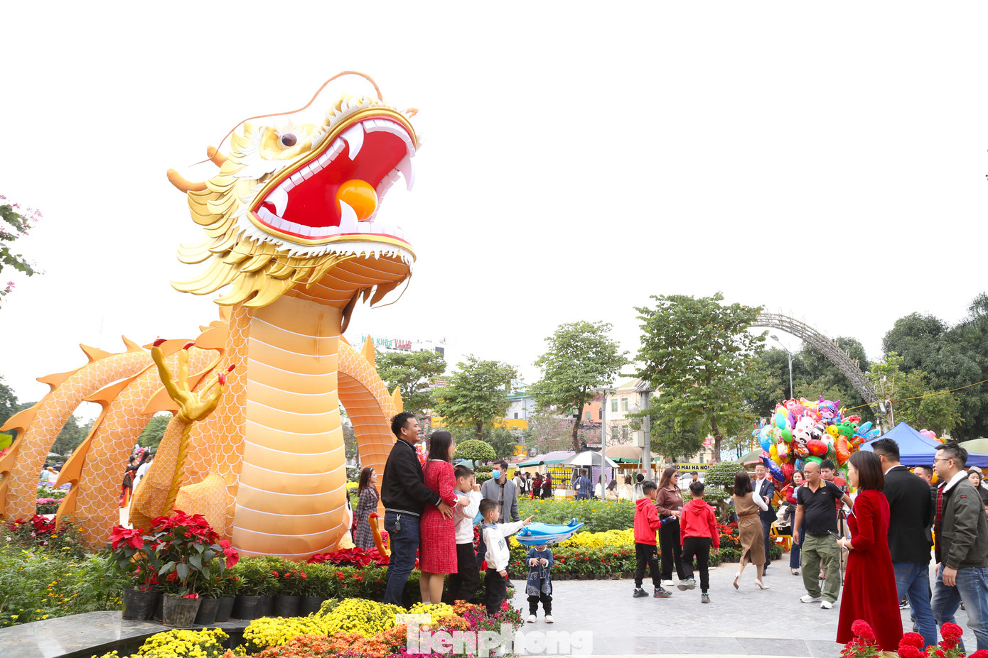 Linh vật rồng tại vườn hoa nghệ thuật là điểm nhấn trang trí Tết tại TP Vinh, phục vụ người dân và du khách vui Tết, đón Xuân.