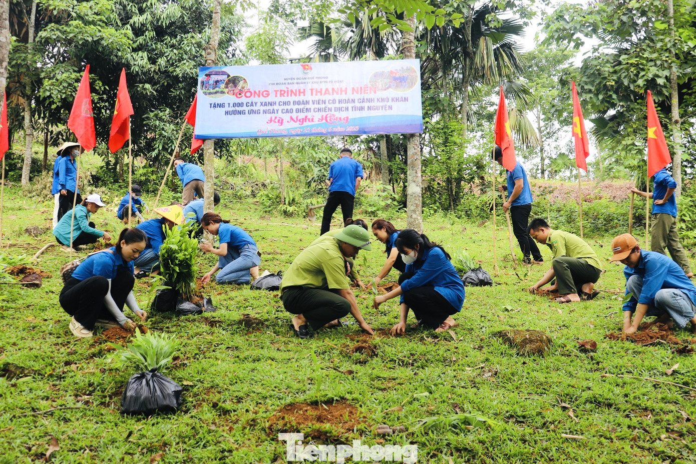 Đối với cấp cơ sở, các hoạt động cũng được các cấp bộ Đoàn, Hội triển khai đồng loạt, sôi nổi. Trong ảnh: Huyện Đoàn Quế Phong trồng 1.000 cây xanh hưởng ứng ngày cao điểm chiến dịch Kỳ nghỉ hồng.