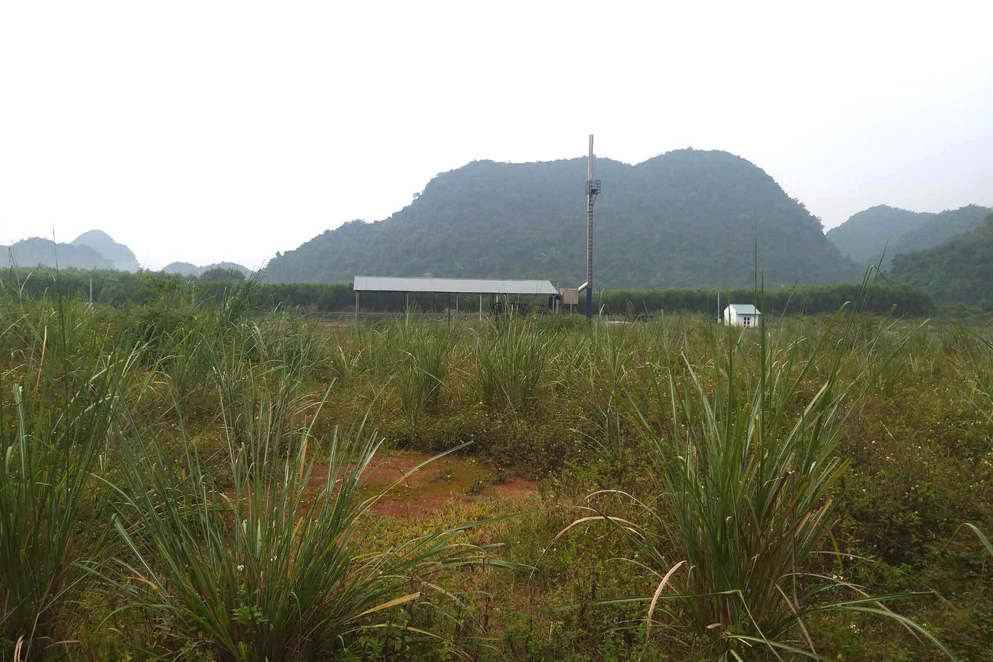 Đến nay, khu xử lý rác thải vẫn “án binh bất động”