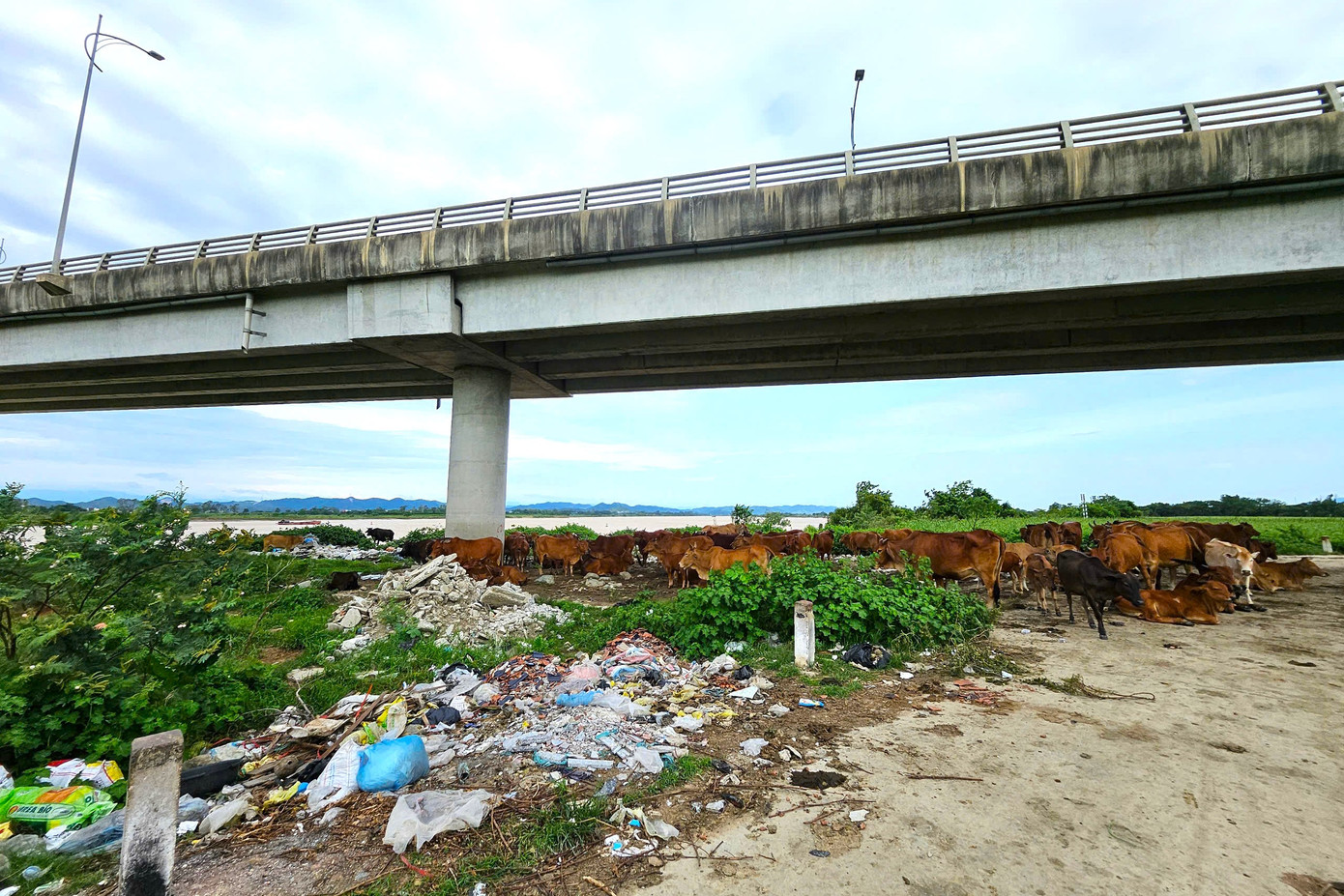 Ông Cao Anh Đức - Chủ tịch UBND xã Hưng Nguyên Nam cho hay: “Chính quyền địa phương vừa thực hiện sáp nhập cấp xã mới nên chưa nắm được thông tin. Chúng tôi sẽ cho kiểm tra và xử lý".