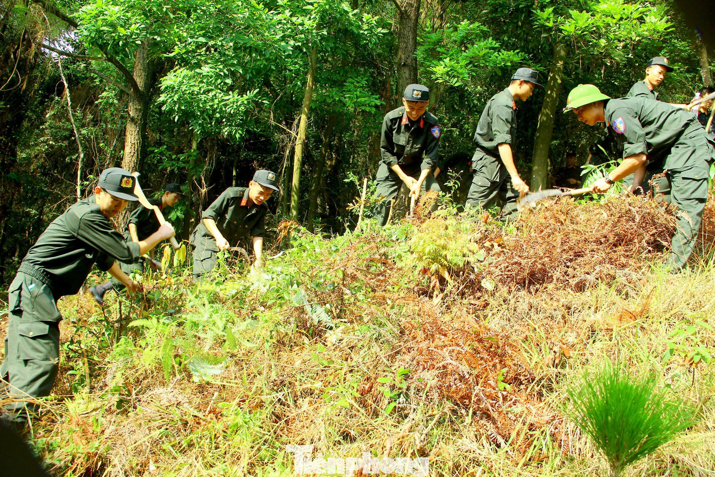 Thời tiết nắng nóng gay gắt nhưng các chiến sĩ vẫn hăng say phát quang, thu gom thực bì.