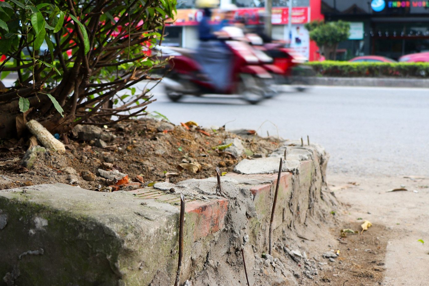 Có gần 10 chông sắt được cắm ở thành bồn bao quanh gốc cây trước số nhà 48, đường Nguyễn Trãi, TP Vinh, Nghệ An.