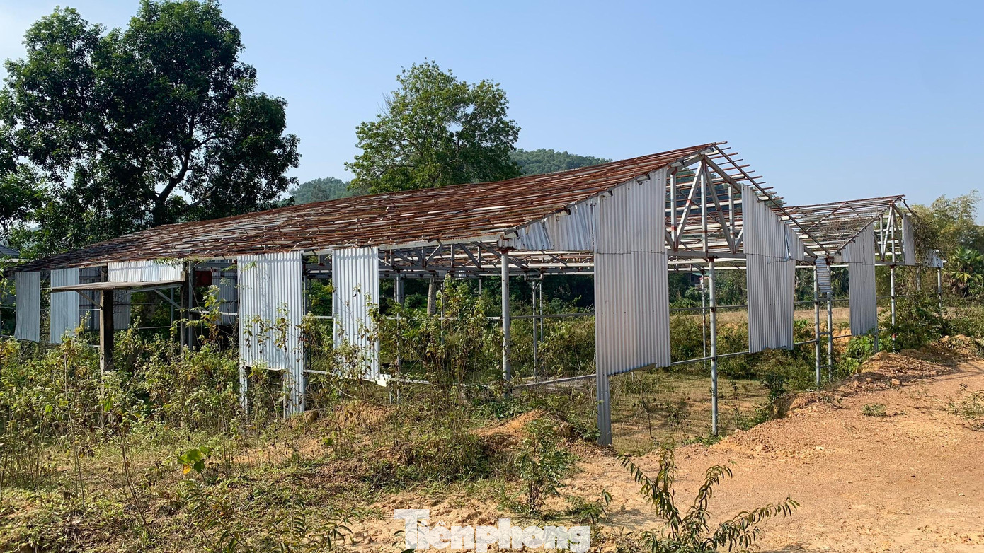 Dự án có diện tích hơn 33ha, với mức đầu tư 217 tỷ đồng