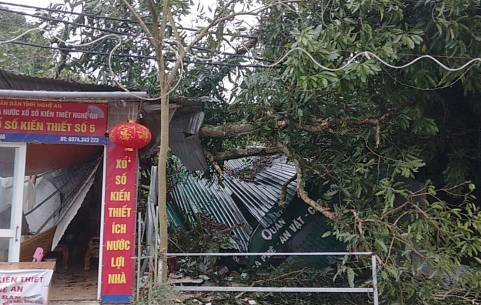 Cây cối đổ đè lên một ngôi nhà ở xã Tam Quang Cây cối đổ đè lên một ngôi nhà ở xã Tam Quang