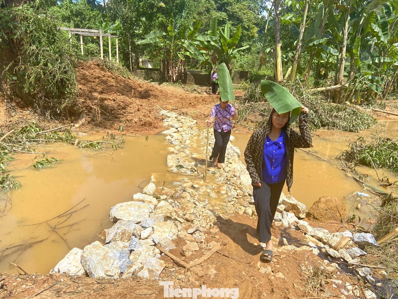 Sau khi con đường mới xuyên qua rừng keo và khe suối nối từ bản Minh Châu sang bản Minh Tiến được hoàn thành, người dân, học sinh thuận tiện di chuyển.