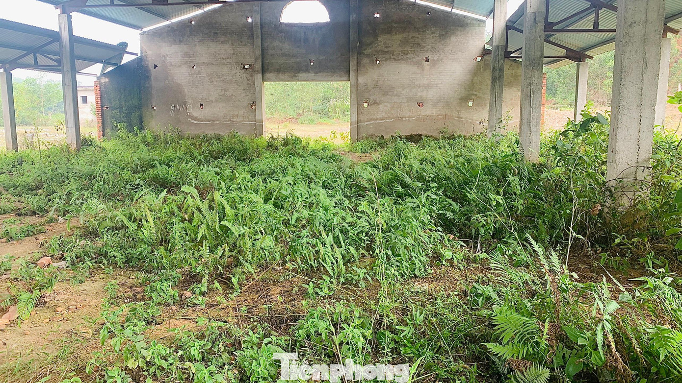 Sau một thời gian thi công, công trình này đã phải dừng lại do thiếu vốn. Theo quan sát, nhiều vị trí, hạng mục đã bị xuống cấp, hư hỏng. Phần đình chính chợ có 2 dãy ki-ốt trước mặt đã được dựng, tuy nhiên ngổn ngang đất đá cùng cây, cỏ dại.