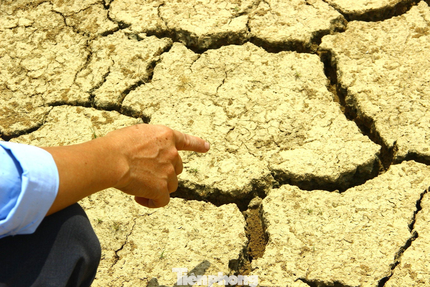 Lòng hồ đập Giếng Tợi khô cằn, nứt nẻ. Lòng hồ đập Giếng Tợi khô cằn, nứt nẻ.