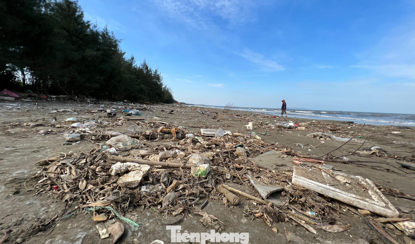 Môi trường biển bị ô nhiễm