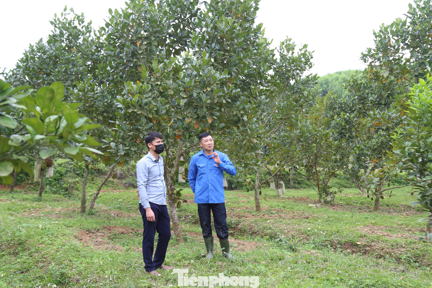 Anh Cường chia sẻ về quá trình khởi nghiệp của mình.