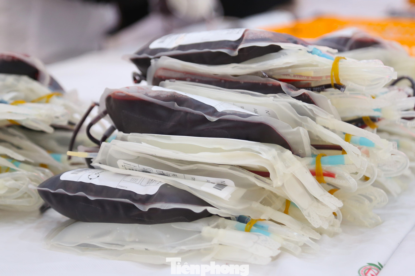 Chương trình đã tiếp nhận được hơn 200 đơn vị máu. Những giọt máu tình nguyện này sẽ góp phần bổ sung kịp thời nguồn máu, cung cấp cho hoạt động cấp cứu và điều trị tại các bệnh viện trên địa bàn trong điều kiện nguồn máu dự trữ đang khan hiếm. Chương trình đã tiếp nhận được hơn 200 đơn vị máu. Những giọt máu tình nguyện này sẽ góp phần bổ sung kịp thời nguồn máu, cung cấp cho hoạt động cấp cứu và điều trị tại các bệnh viện trên địa bàn trong điều kiện nguồn máu dự trữ đang khan hiếm.