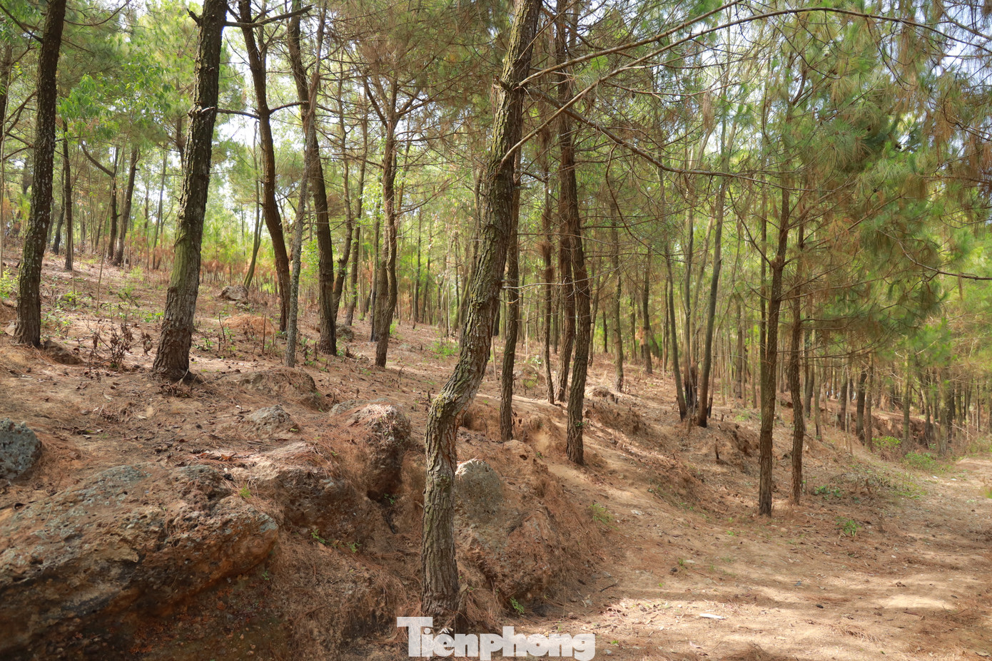 Khu vực Eo gió, xã Tiến Thuỷ, huyện Quỳnh Lưu, Nghệ An sạch đẹp sau khi được dọn dẹp.