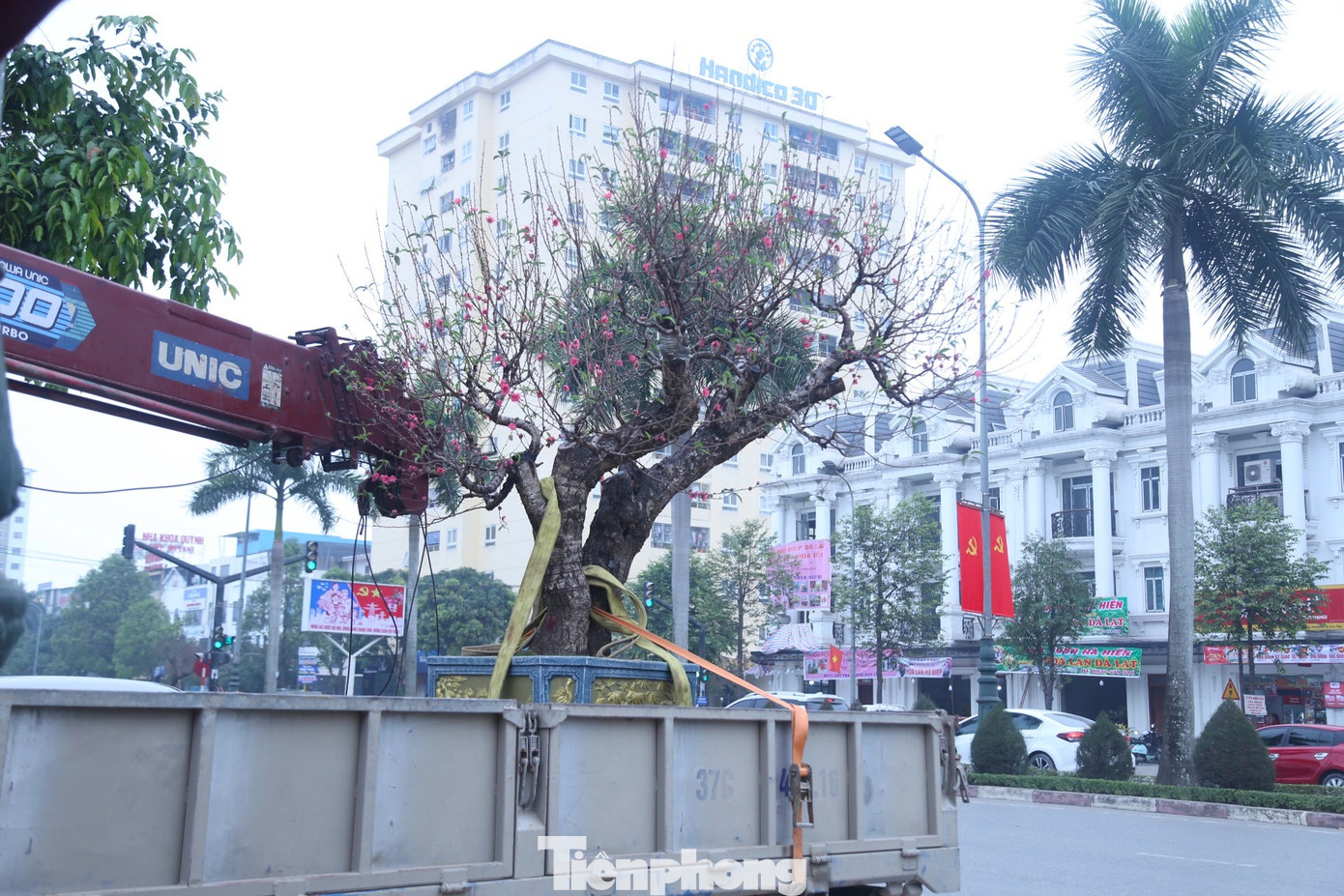 Đối với những gốc đào, mai, quất... khủng, có giá hàng chục đến hàng trăm triệu thì khách sẽ chọn đơn vị vận chuyển là xe cẩu, xe chở hàng có kích thước lớn. Còn đối với những cây nhỏ, giá trị thấp hơn sẽ thuê những người làm nghề xe ôm, cửu vạn, xích lô...