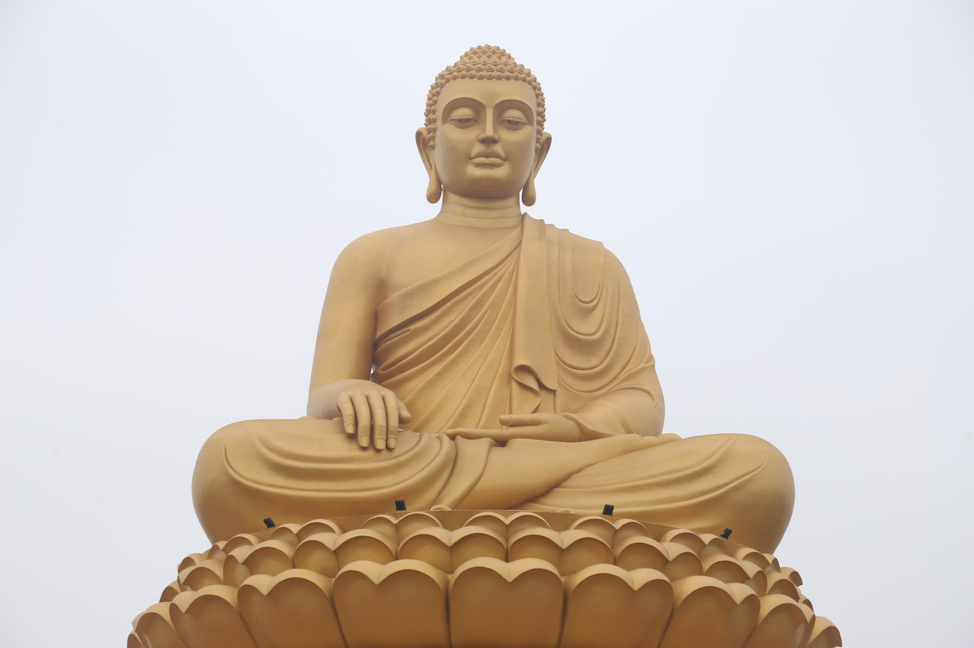 Công trình đại tượng Phật Thích Ca Mâu Ni cao 42m được thi công trong thời gian dài và trải qua nhiều thời khắc khó khăn. Tuy nhiên, nhờ sự đồng lòng của các chư tăng, bà con Phật tử, nhà đầu tư, công trình đã khánh thành đúng tiến độ.