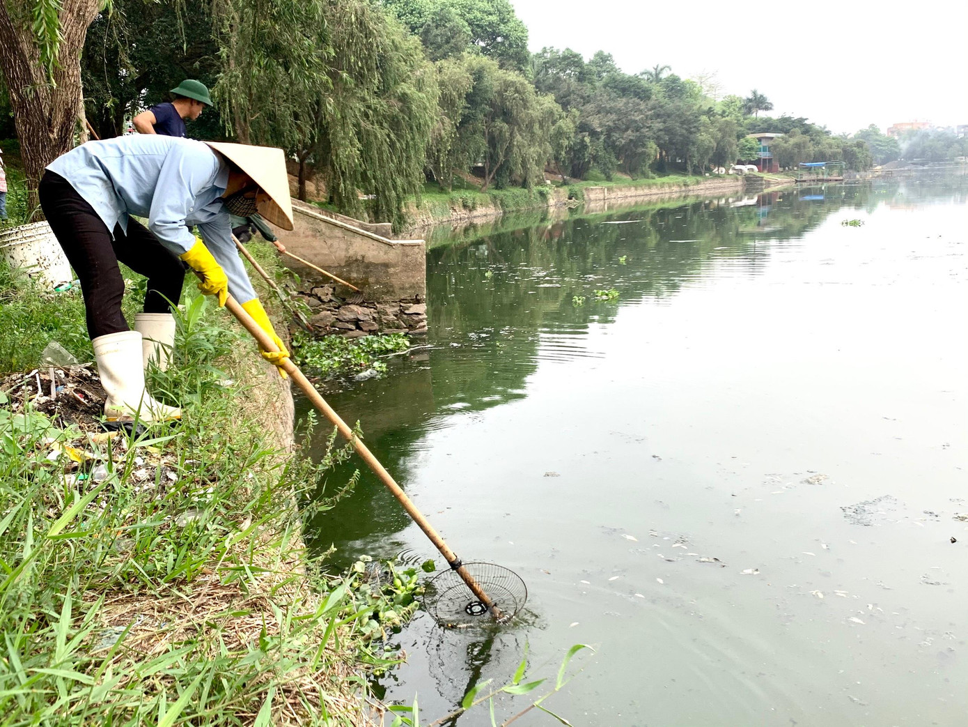 Công nhân vớt cá chết nổi trên mặt hồ Công nhân vớt cá chết nổi trên mặt hồ