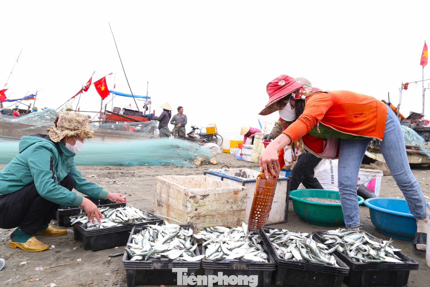 Chị Nguyễn Thị Hương, một thương lái cho biết, cá trích đánh bắt trong đêm, không bảo quản đá lạnh nên tươi nguyên. Đây là thời điểm cá trích ngon, chất lượng nhất trong năm nên dễ tiêu thụ. Chị Nguyễn Thị Hương, một thương lái cho biết, cá trích đánh bắt trong đêm, không bảo quản đá lạnh nên tươi nguyên. Đây là thời điểm cá trích ngon, chất lượng nhất trong năm nên dễ tiêu thụ.