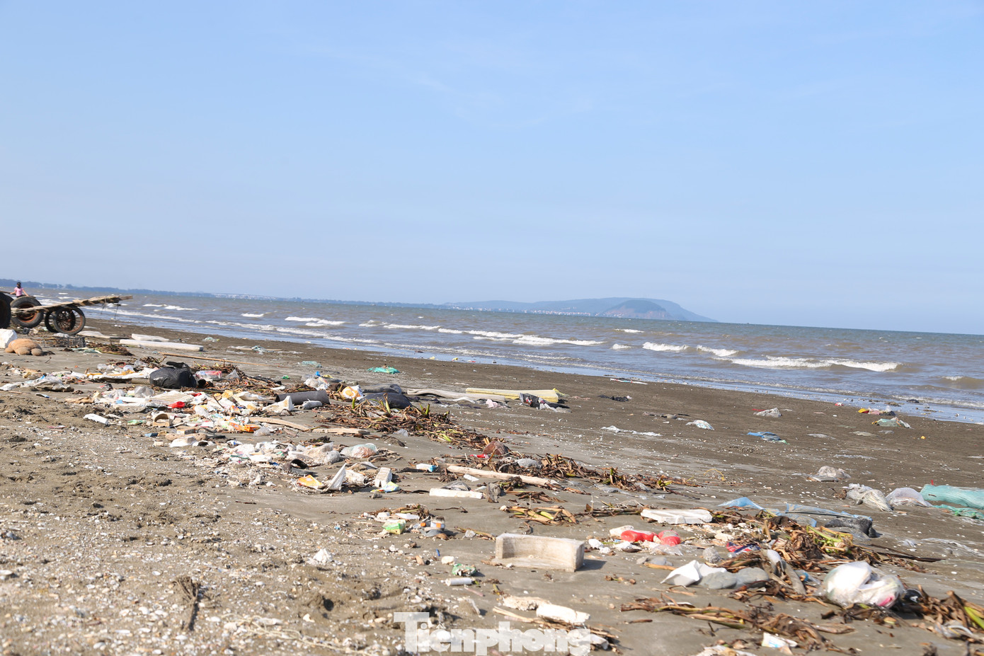 Ông Lê Văn Thông, Chủ tịch UBND xã Diễn Kim cho hay: “Những loại rác này chủ yếu là lục bình, bèo tây do các con sông, kênh đổ ra sau khi xuất hiện mưa lớn. Chúng tôi đã huy động các đoàn thể thu dọn, làm sạch bãi biển”.