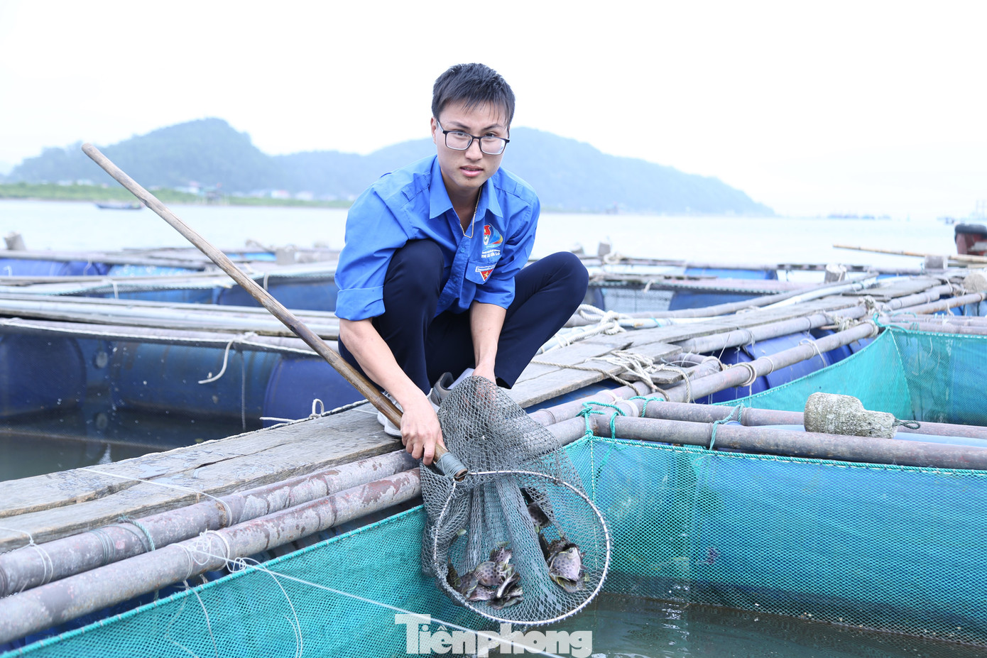 Nguyễn Văn Thành không chỉ là đảng viên trẻ năng động, nhiệt huyết mà còn tiên phong, gương mẫu trong phát triển kinh tế tại địa phương. Ảnh: Thu Hiền Nguyễn Văn Thành không chỉ là đảng viên trẻ năng động, nhiệt huyết mà còn tiên phong, gương mẫu trong phát triển kinh tế tại địa phương. Ảnh: Thu Hiền