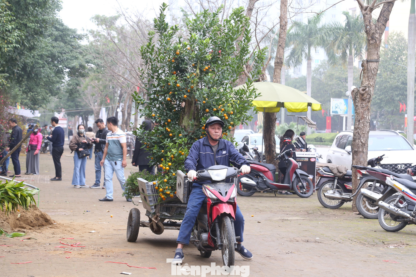 Nghề chở thuê cây cảnh cũng gặp không ít rủi ro vì thời điểm cận Tết số lượng người và xe tham gia giao thông khá đông, rất dễ bị va quệt, tai nạn…