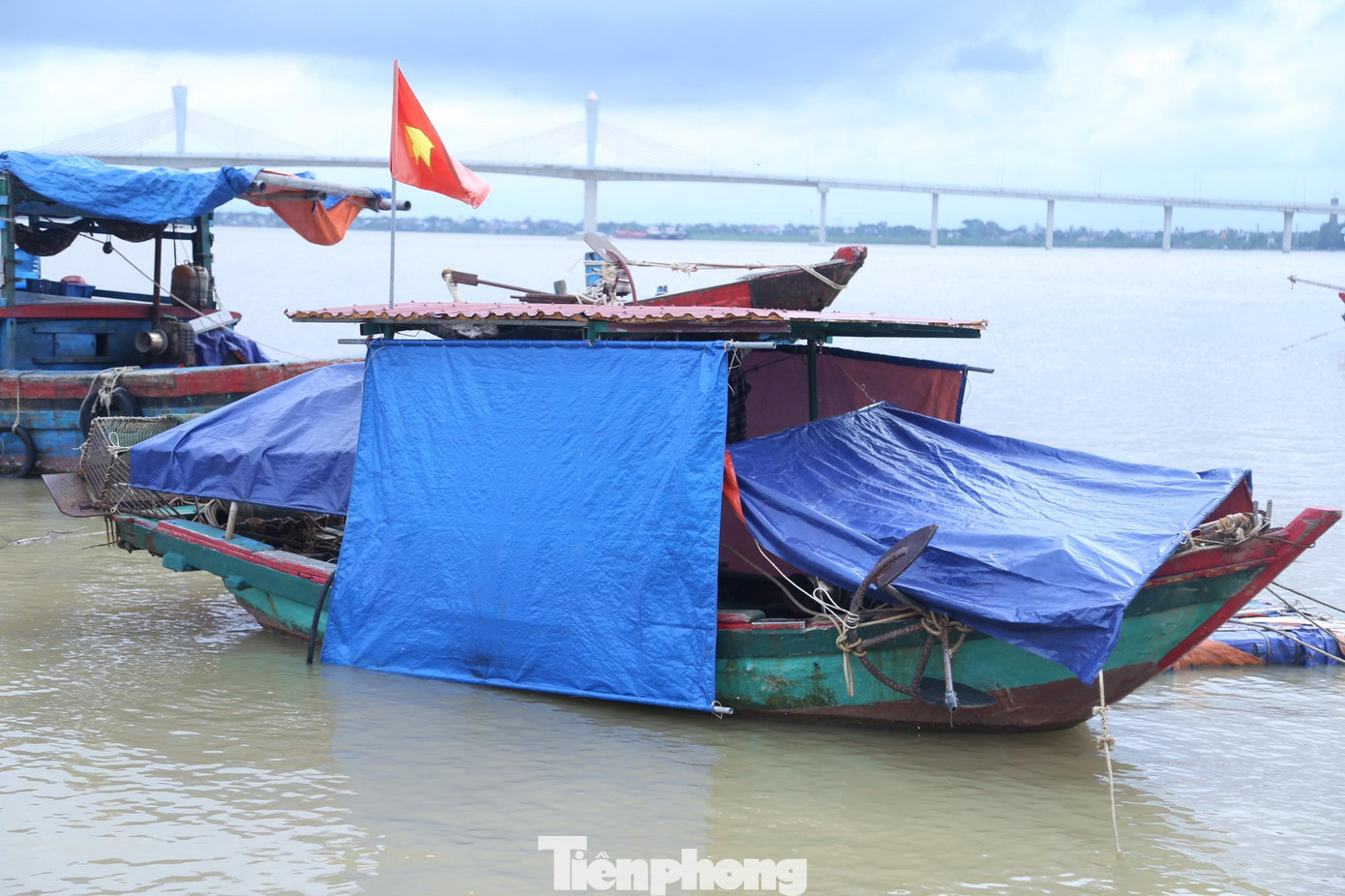 Những chiếc tàu cá được che bạt cẩn thận tránh mưa bão Những chiếc tàu cá được che bạt cẩn thận tránh mưa bão