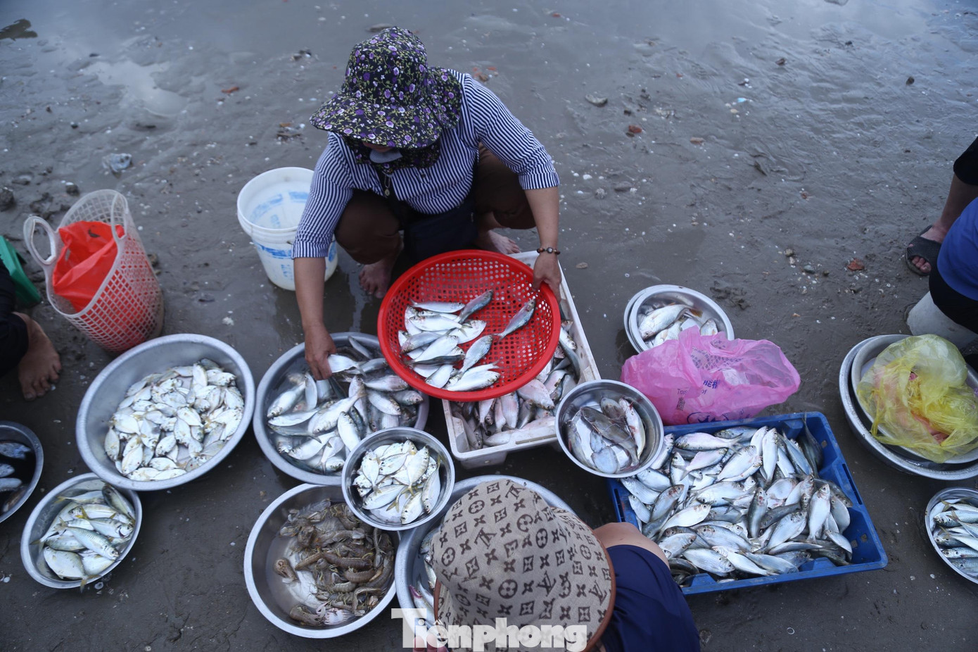 Hải sản được bày bán ngay tại bờ biển.