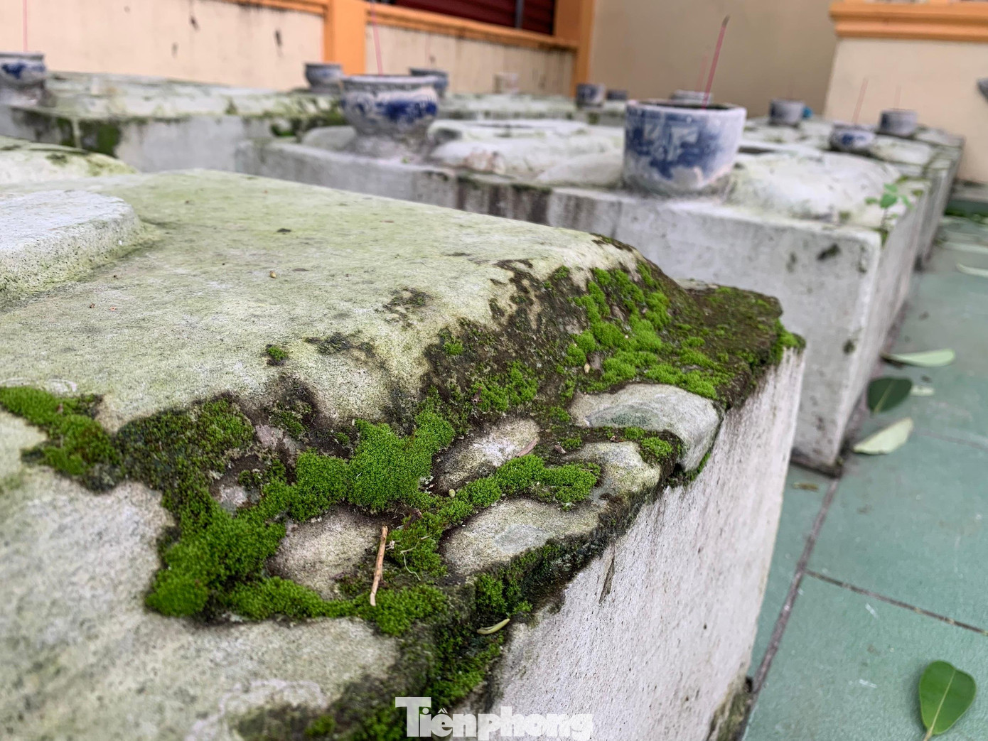 Qua thời gian, những lớp phong rêu đã phủ bám xung quanh khiến ngôi mộ càng trở nên hoang sơ đầy bí ẩn.