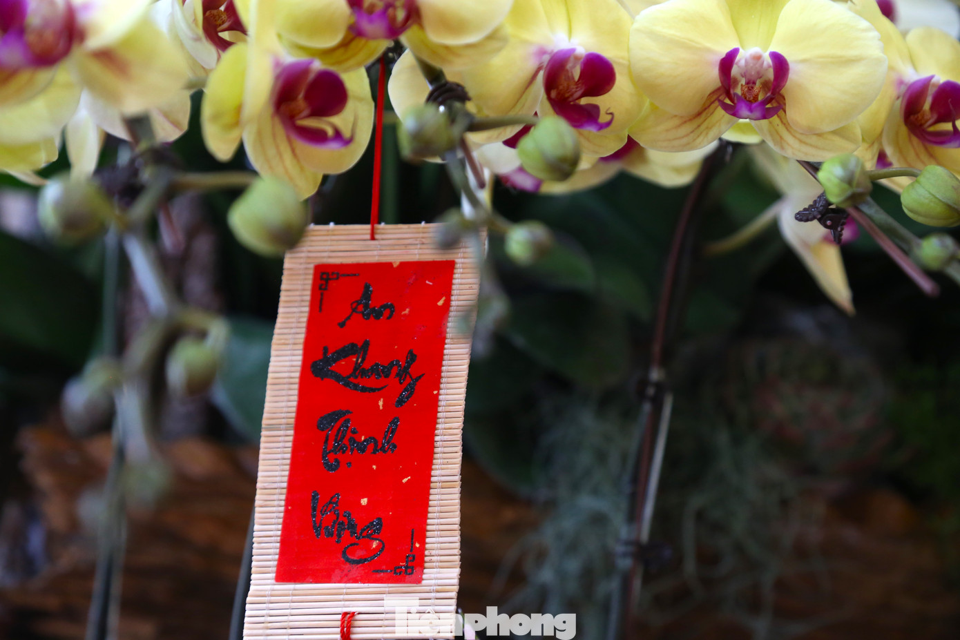 Tác phẩm được trang trí nhiều tiểu cảnh để tạo điểm nhấn.