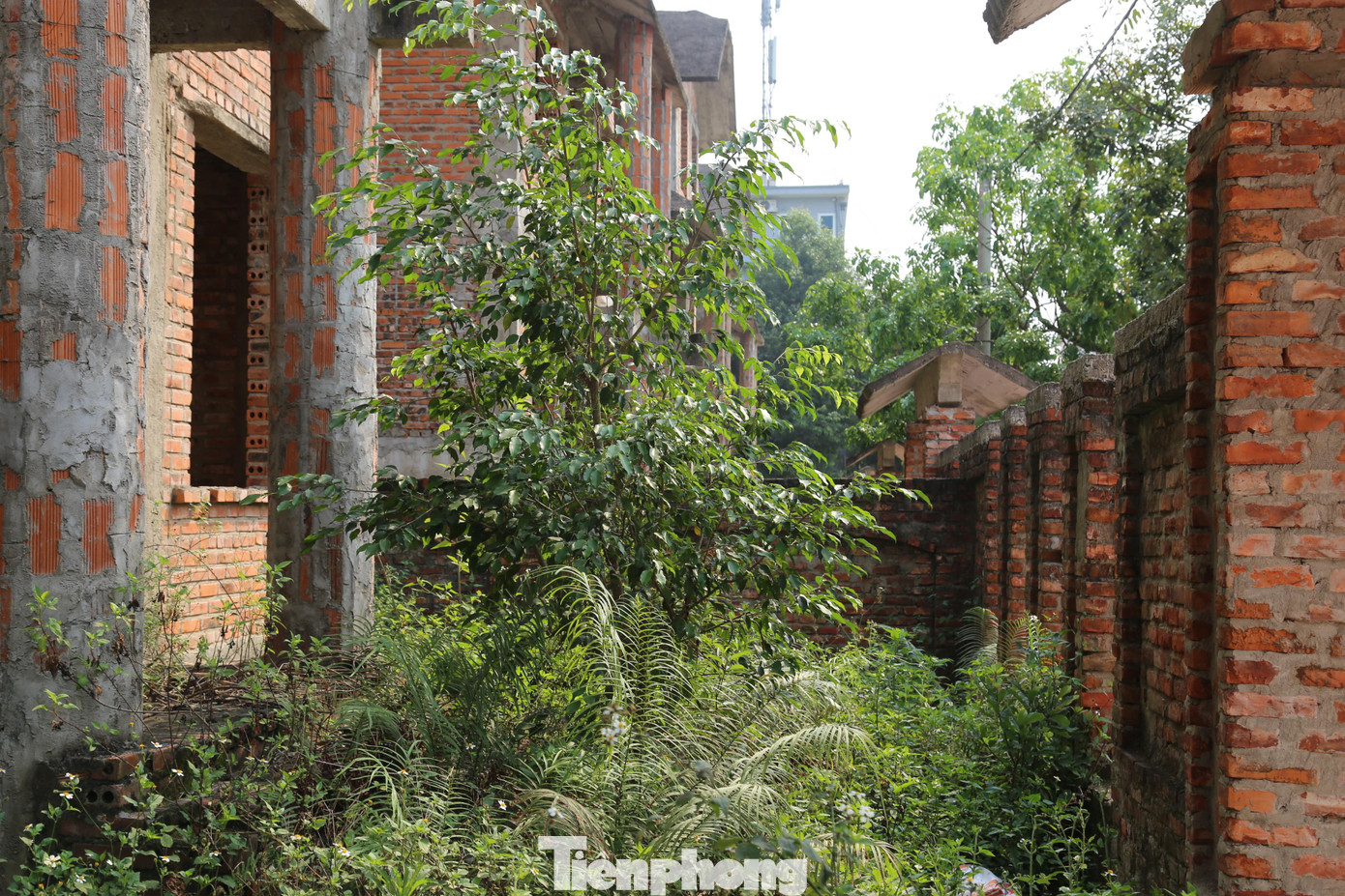 Năm 2009, dự án này bắt đầu triển khai xây dựng. Dự kiến sau 4 năm sẽ đi vào hoạt động. Tuy nhiên, dự án mới chỉ mới xây dựng được 12 căn biệt thự rồi bỏ hoang cho đến nay. Nhiều hạng mục khác làm dang dở hoặc chưa triển khai.