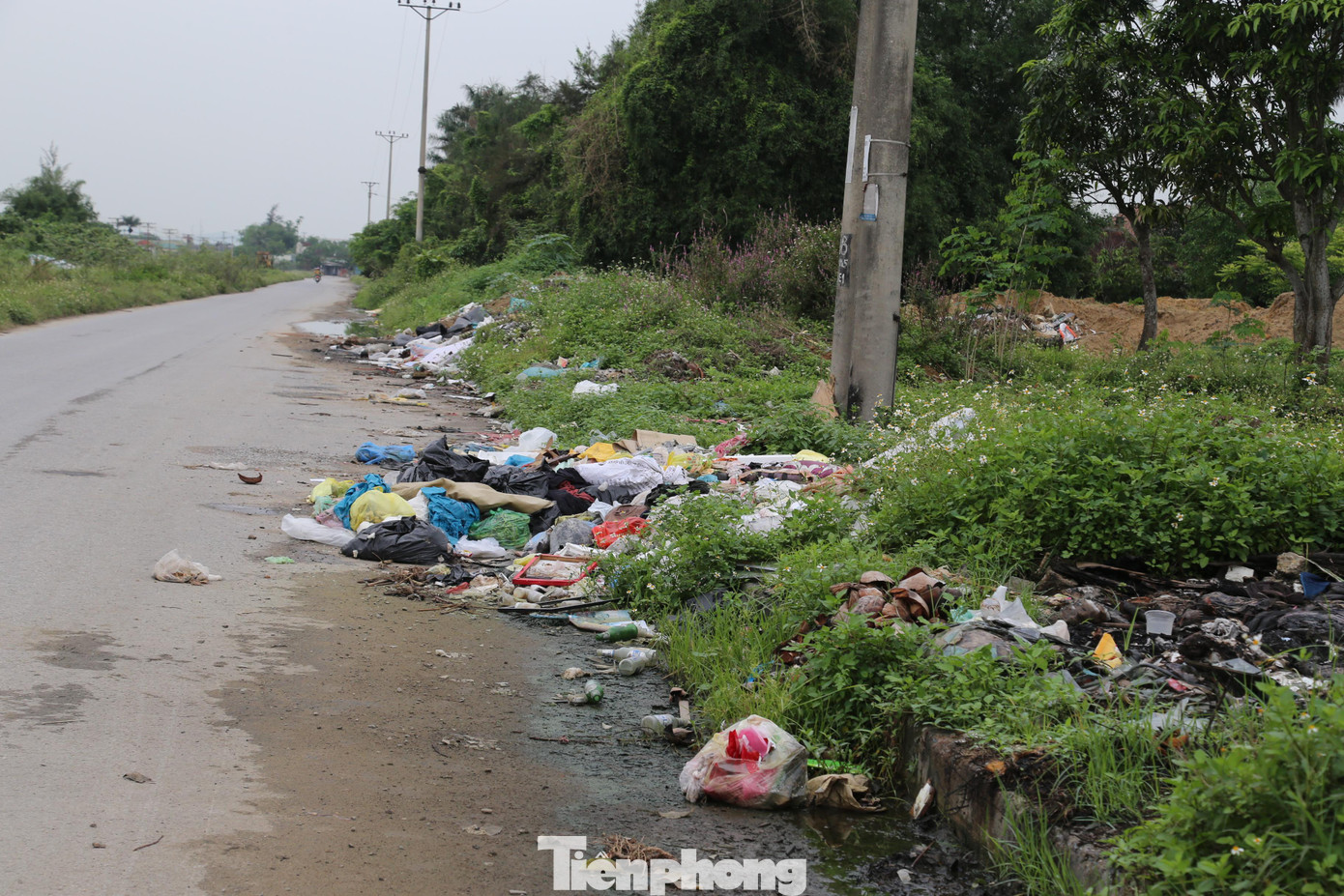 Nhiều khu vực người dân tận dụng làm nơi đổ các loại rác thải, dẫn đến tình trạng ô nhiễm môi trường.