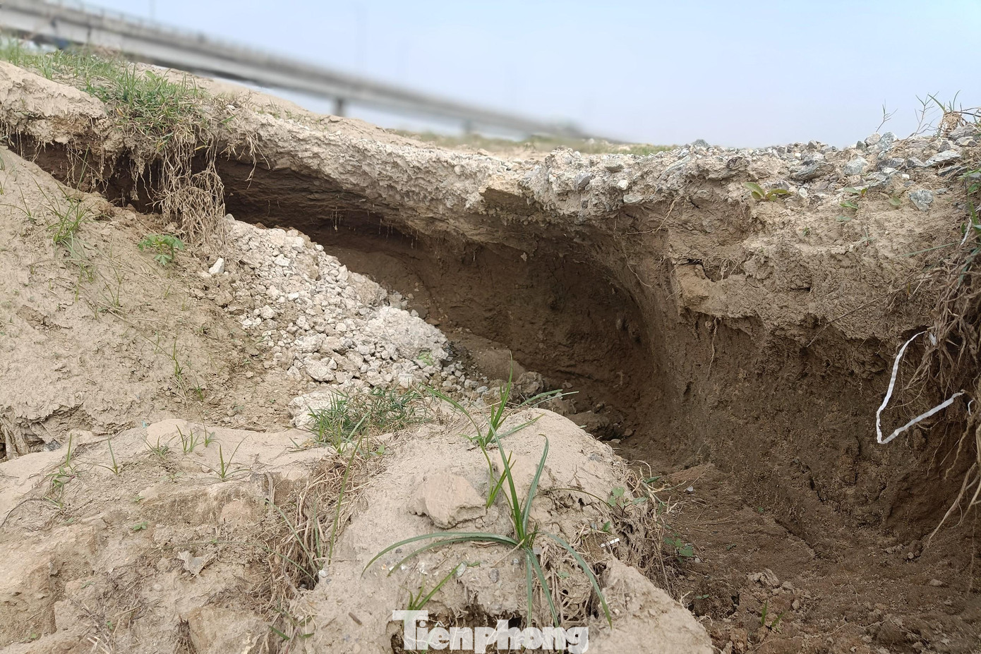 Người dân không dám canh tác vì sợ nước sông cuốn trôi