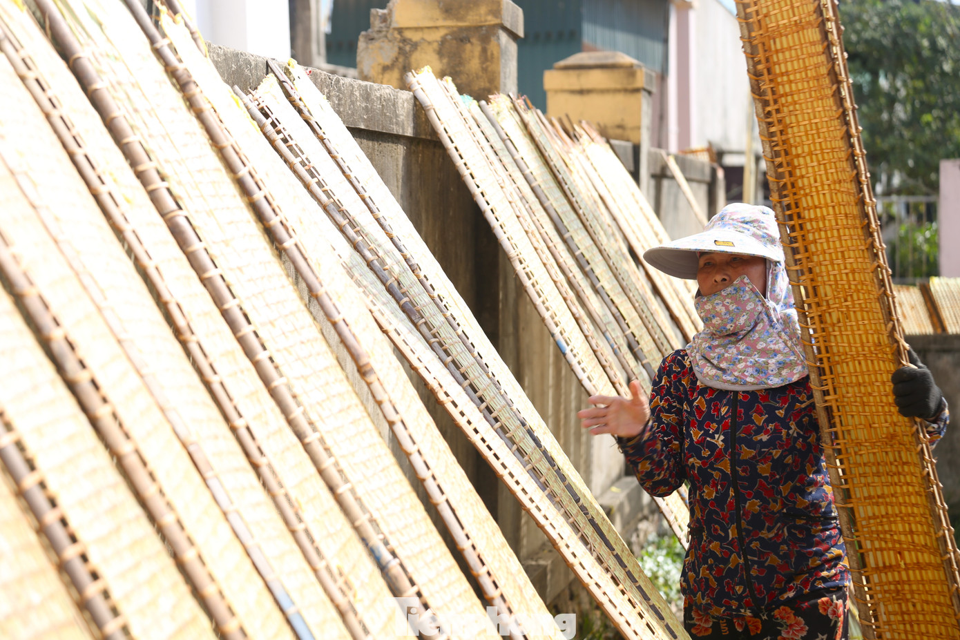 Nhanh tay lật tấm phên bánh, bà Nguyễn Thị Nga (46 tuổi, trú xóm Ngọc Minh, xã Diễn Ngọc): “Vào mùa hè, bánh chỉ phơi 1 - 2 giờ đồng hồ sẽ đưa vào đóng gói, nhưng mùa đông phải phơi khoảng 3 giờ đồng hồ. Bánh phơi phải được lật trở đều tay tránh bánh không bị quá giòn hay còn ẩm ướt.”.