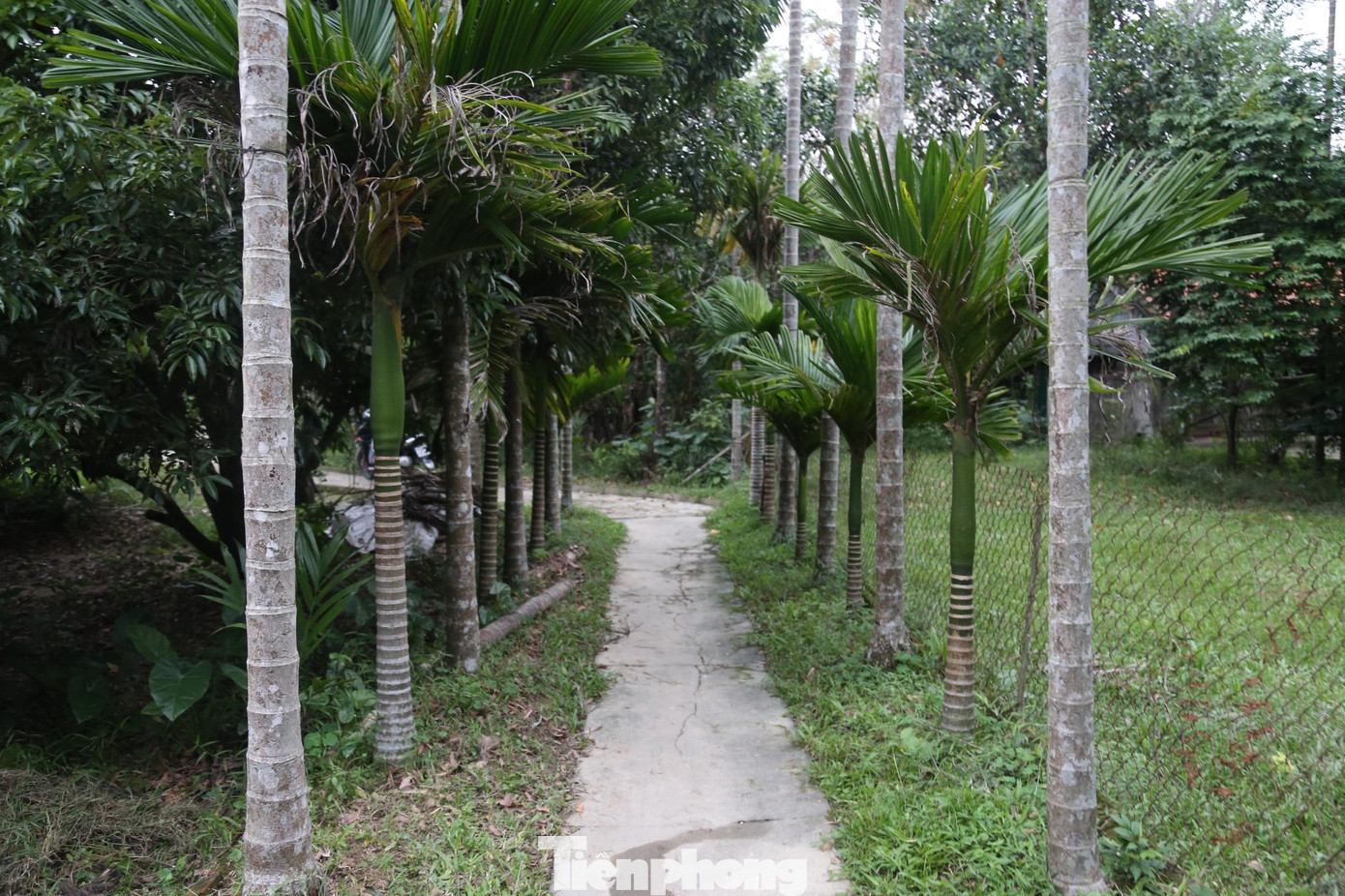 Vùng ven đê Hưng Lợi (xã Hưng Nguyên, Nghệ An) có 2 xứ làng là Giang Thủy (nay là xóm 6,7) và Cự Thôn (nay là xóm 1,2,3) còn lưu giữ nhiều nét mộc mạc thôn quê. Dù trải qua bao thăng trầm và biến động thời gian cảnh sắc, nếp sinh hoạt nơi đây vẫn còn mang đậm bản sắc văn hóa được bảo tồn từ thời cha ông.