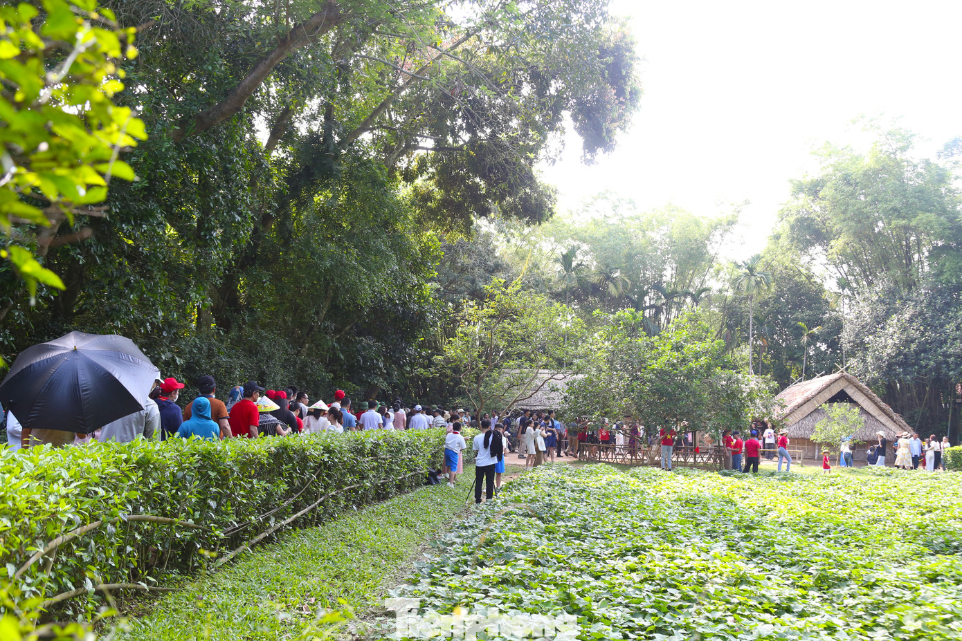 Làng Sen - nơi lưu giữ những kỷ vật gắn bó thời niên thiếu của Chủ tịch Hồ Chí Minh và kỷ niệm hai lần Bác về thăm quê.