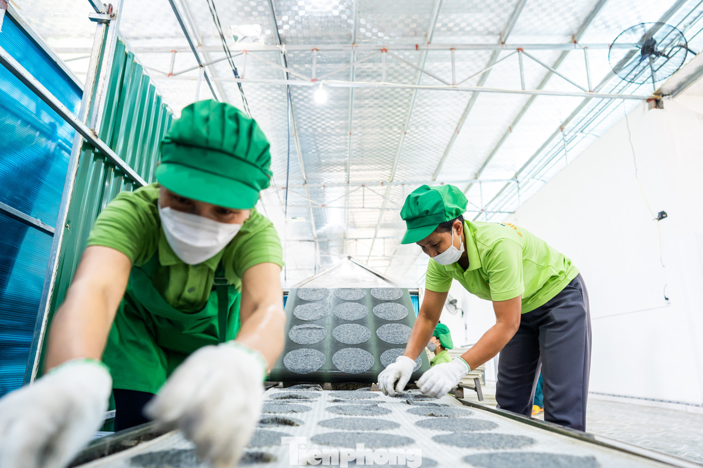 “Bánh đa là đặc sản của người dân quê tôi. Huyện Đô Lương có hẳn làng nghề bánh đa trăm năm tuổi. Từng chứng kiến cảnh bà con lam lũ trên đồng ruộng làm ra hạt gạo, hạt vừng rồi vất vả xay bột, mướt mồ hôi tráng từng chiếc bánh. Bánh đa làm ra cũng chỉ loay hoay tiêu thụ trong tỉnh, mình nghĩ tại sao không làm lớn để đưa bánh đa quê mình vươn ra các tỉnh, thành và xuất khẩu ra thế giới?”, anh Thắng chia sẻ.