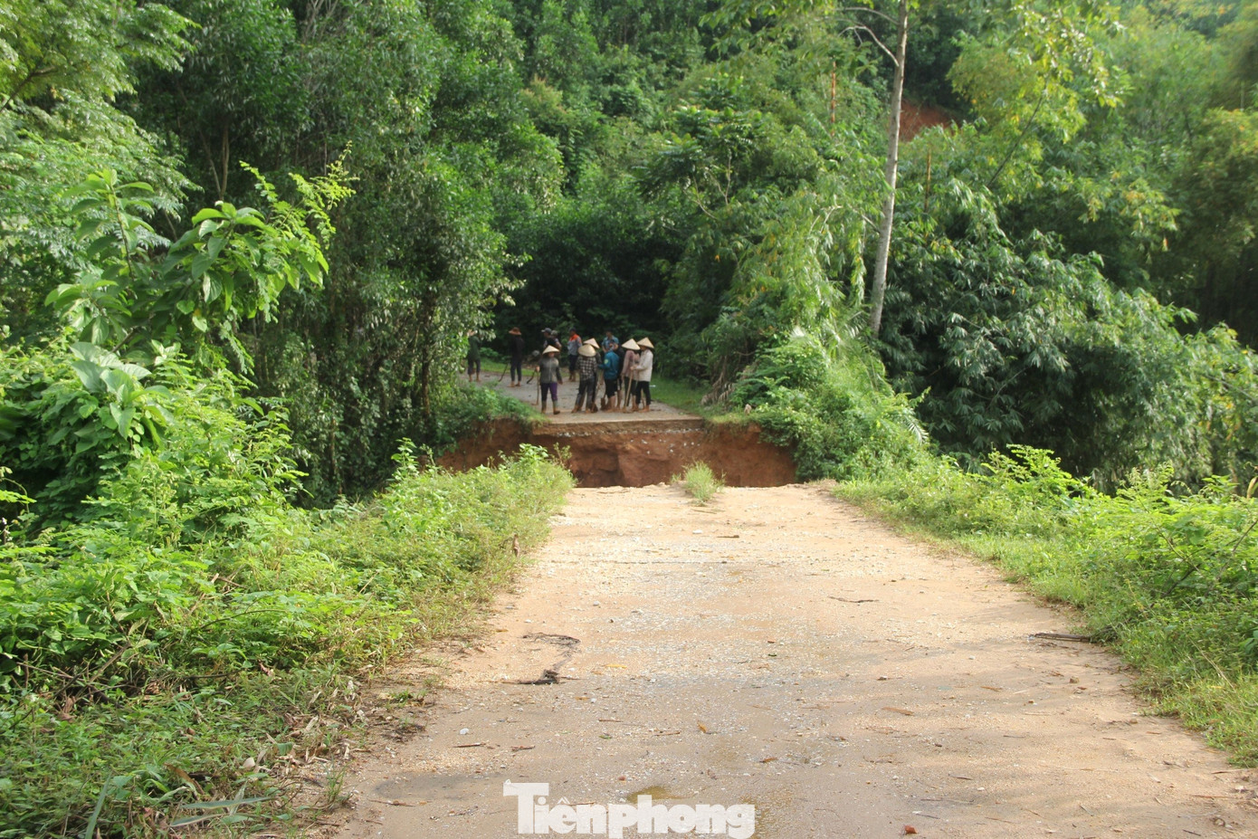 Mưa lũ làm tuyến đường từ trung tâm xã Châu Hạnh vào điểm giáp ranh giữa bản Minh Châu và bản Minh Tiến bị sạt lở, gây chia cắt. Toàn bộ mặt đường dài khoảng 20 mét bị gãy đôi, tạo thành vực lớn có độ sâu khoảng 7 mét vô cùng nguy hiểm. Mưa lũ làm tuyến đường từ trung tâm xã Châu Hạnh vào điểm giáp ranh giữa bản Minh Châu và bản Minh Tiến bị sạt lở, gây chia cắt. Toàn bộ mặt đường dài khoảng 20 mét bị gãy đôi, tạo thành vực lớn có độ sâu khoảng 7 mét vô cùng nguy hiểm.